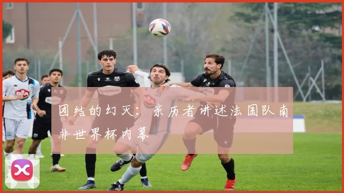 团结的幻灭：亲历者讲述法国队南非世界杯内幕