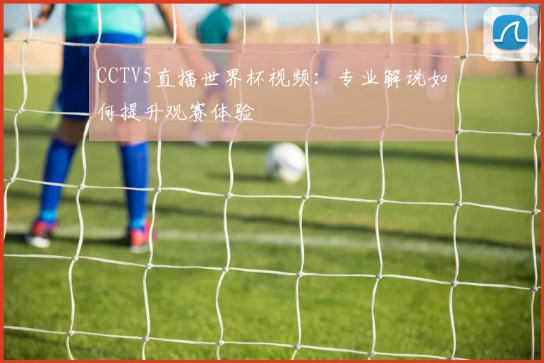 CCTV5直播世界杯视频：专业解说如何提升观赛体验