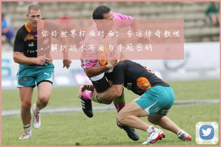 你好世界杯面对面：专访传奇教练，解析战术布局与夺冠密码