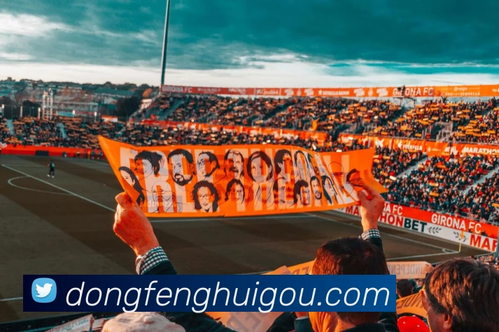 开云手机网页入口平台生态图